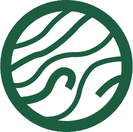 venus icon planet icon green